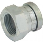 Hydraulic BSPP Blanking Cap