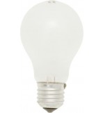 Rough Service Bulbs - Edison Screw