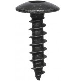 TX Body Screws