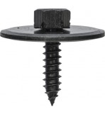 Hex Screws