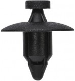 Push Rivets