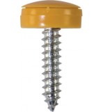 'Everyday' ESSENTIALS Number Plate Fasteners - Self-Tappers with Hinged Caps 