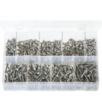 Assortment Box of Stainless Steel Self-Tapping Screws Pan Head - Pozi