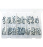 Assortment Box of Grease Nipples - BSP & UNF