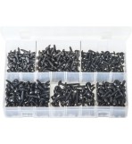 Self-Tapping Screws Flanged Pan Head - TORX<sup>®</sup> Black