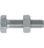 Assorted Set Screws with Nuts 