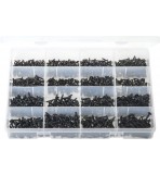 'Max Box' Assortment of Self-Tapping Screws Flanged Pan Head - Pozi