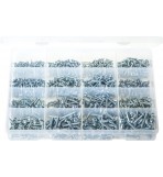 'Max Box' Assortment of Self-Tapping Screws Pan Head - Pozi