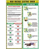 EV Electric Shock & CPR Poster
