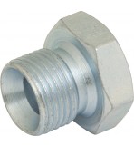 Hydraulic BSPP Blanking Plug