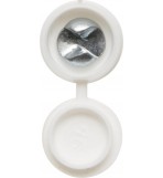 'Everyday' ESSENTIALS Security Number Plate Fasteners - Self-Tappers with Hinged Caps 